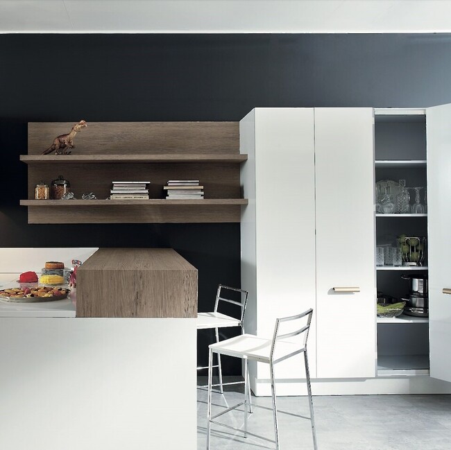 Storage Solutions for Modern Kitchens